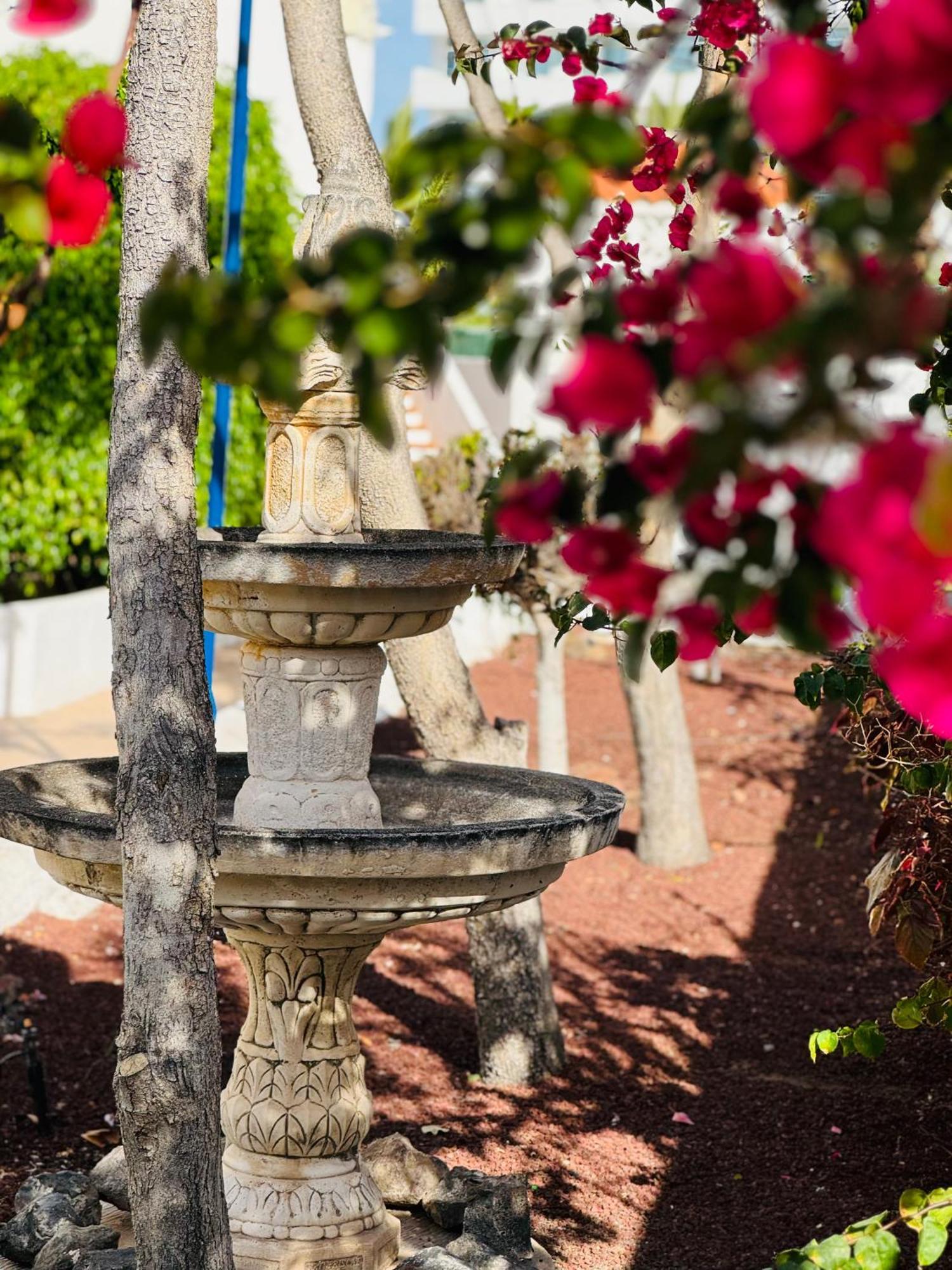 Garden City Private Apartment Costa Adeje Playa Feñabe Εξωτερικό φωτογραφία
